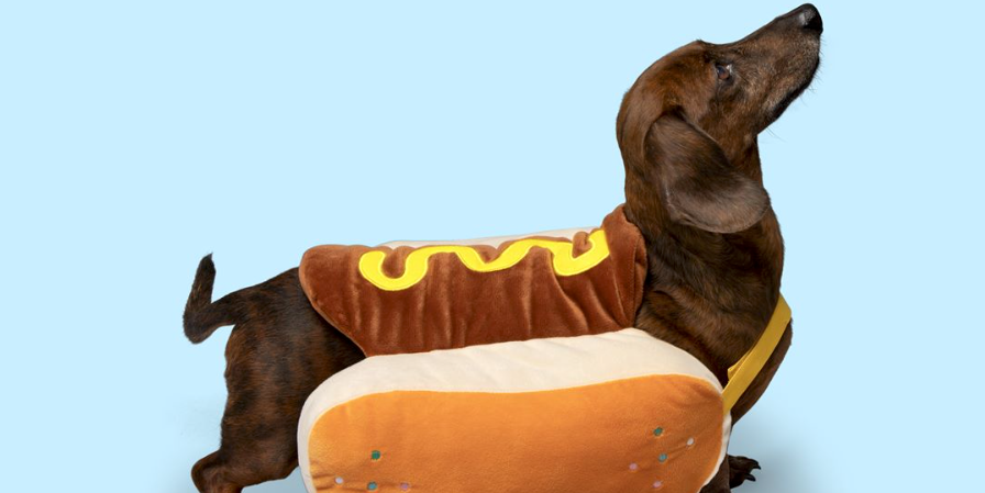 HEMA verkoopt hotdog verkleedpak voor je hond