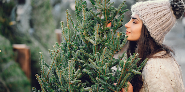 Yes! Vanaf deze week kun je weer een kerstboom bij IKEA scoren voor maar €1