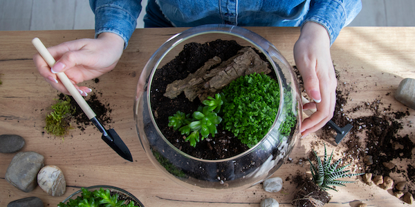 Weekendtip: Maak jouw eigen herfstige plantenterrarium