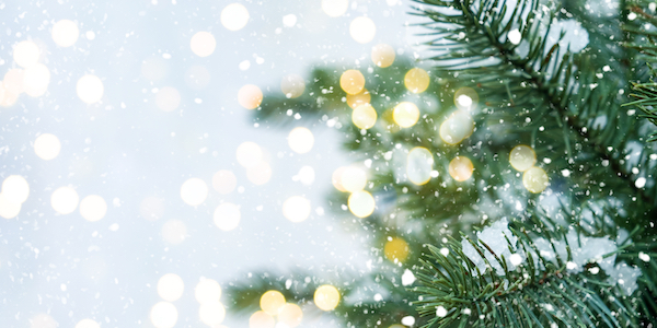Nieuw onderzoek: Kerstbomen zorgen voor een blij gevoel