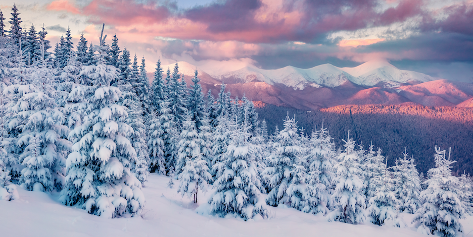 Dít zijn de deelnemers van nieuw seizoen Winter Vol Liefde 2025 