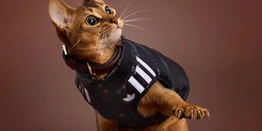 adidas Originals Pet Collection kledingcollectie voor honden en katten
